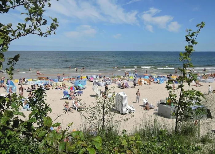 Mobile In With A Terrace Tatil Evi *